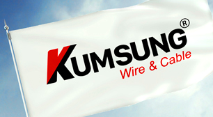 THIẾT KẾ LOGO CÔNG TY KUMSUNG VIỆT NAM